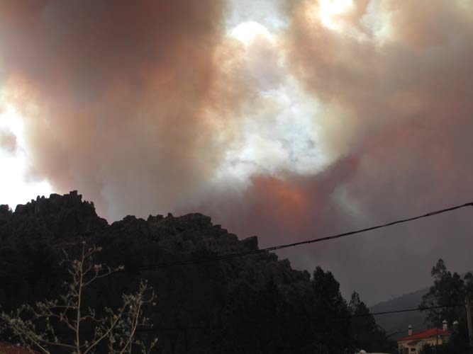 Tragedia ecológica en Valencia de Alcántara (Cáceres) 